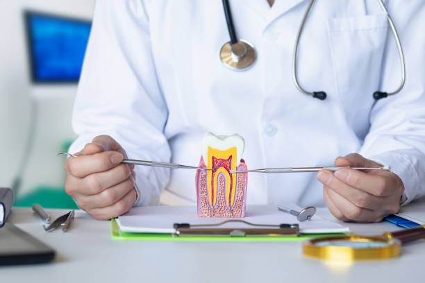 Best Emergency Tooth Extraction in El Cenizo, TX